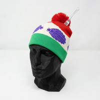Colorful beanie with a red pom-pom on a black mannequin head against a white background